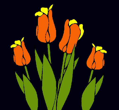 Tulipanes