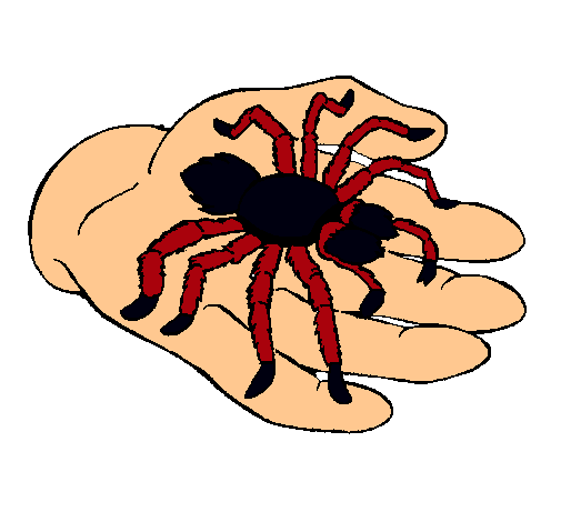 Tarántula