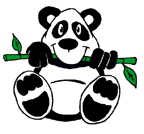 Oso panda