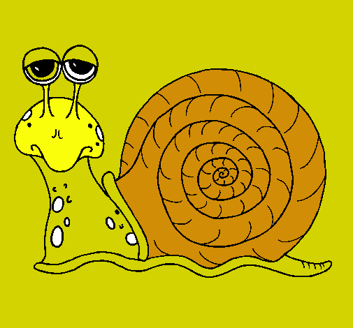 Caracol