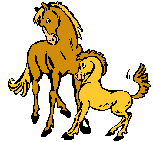 Caballos