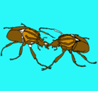 Dibujo Escarabajos pintado por MarioL