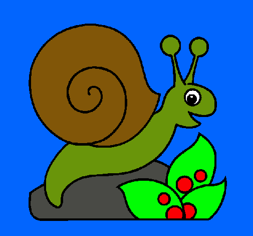 Caracol