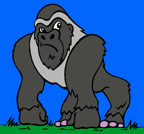 Dibujo Gorila pintado por tururu253