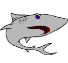 Dibujo Tiburón pintado por facundo