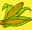 Dibujo Mazorca de maíz pintado por leslyv