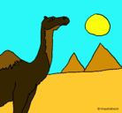 Dibujo Camello pintado por camellitouuu