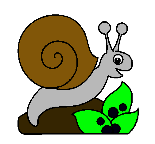 Caracol