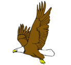 Dibujo Águila volando pintado por braya