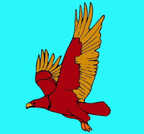 Águila volando