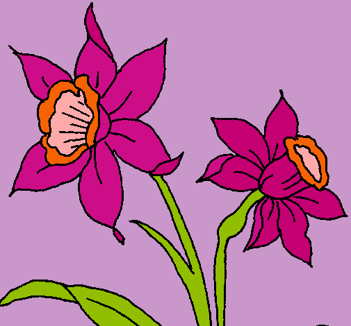 Dibujo Orquídea pintado por Luisareina