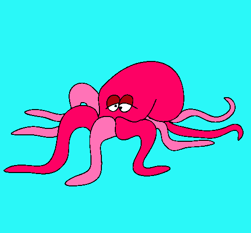 Pulpo