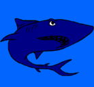 Dibujo Tiburón pintado por estephanie