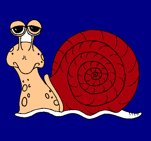 Caracol