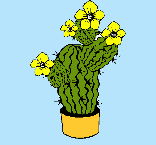 Flores de cactus