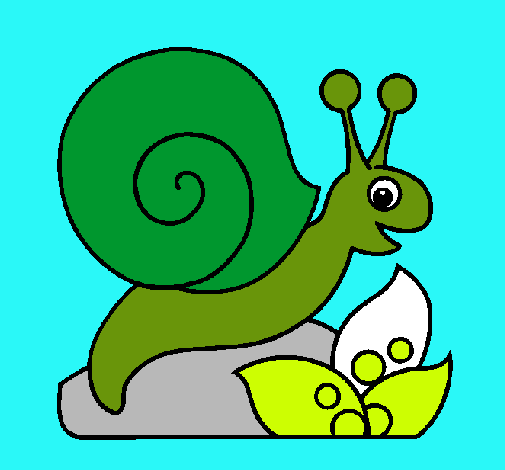 Caracol