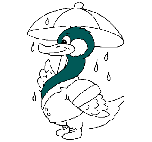 Pato bajo la lluvia