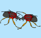 Dibujo Escarabajos pintado por ikkkkkkkkkkk