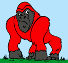 Dibujo Gorila pintado por tarzan3
