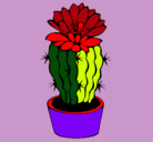 Dibujo Cactus con flor pintado por DESCHI