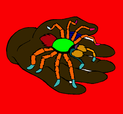 Tarántula