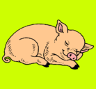 Dibujo Cerdo durmiendo pintado por fleetingstar_22
