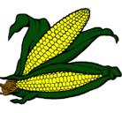 Dibujo Mazorca de maíz pintado por liza1755