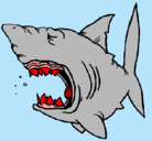 Dibujo Tiburón pintado por tibu