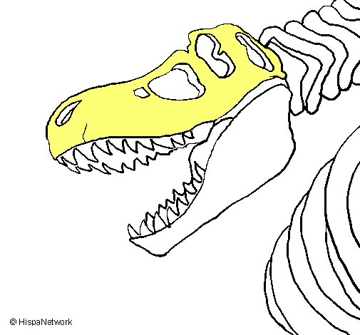 Esqueleto tiranosaurio rex