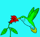 Dibujo Colibrí y una flor pintado por pako