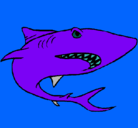 Dibujo Tiburón pintado por totorrin