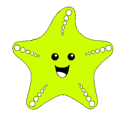 Estrella de mar