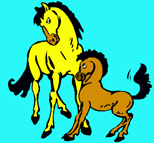 Caballos