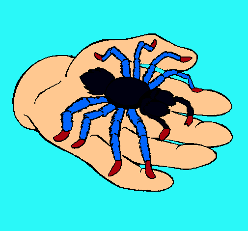 Tarántula