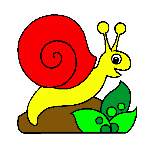 Caracol