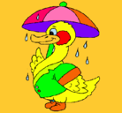 Dibujo Pato bajo la lluvia pintado por laura22
