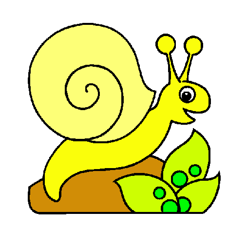 Caracol