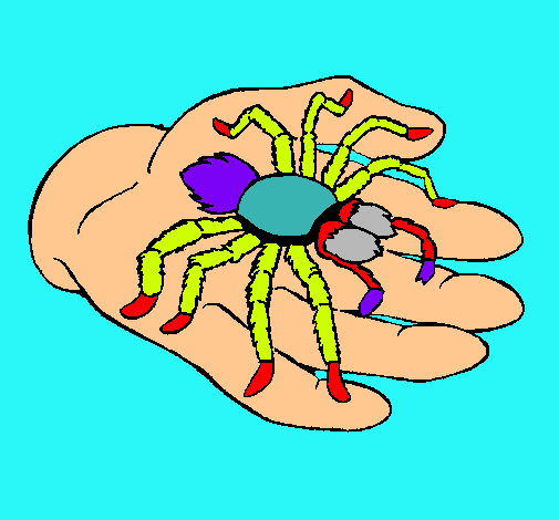 Tarántula