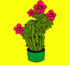 Dibujo Flores de cactus pintado por amalia