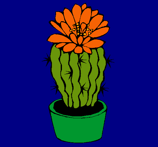 Cactus con flor