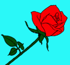 Dibujo Rosa pintado por rosal
