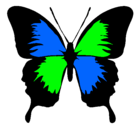 Dibujo Mariposa con alas negras pintado por misi