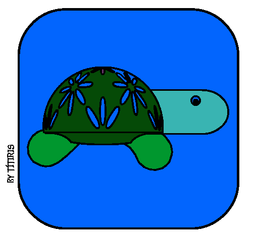 Tortuga 4