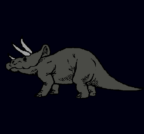 Triceratops