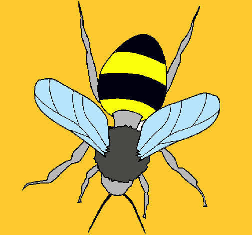 Abeja