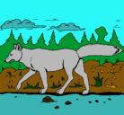 Dibujo Coyote pintado por Leafar
