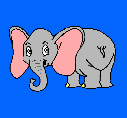 Elefante pequeño