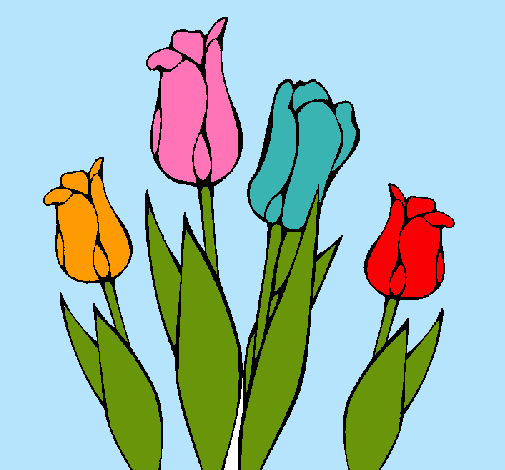 Tulipanes