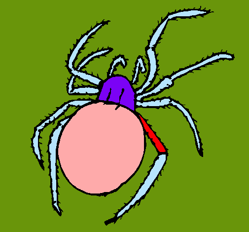 Araña venenosa