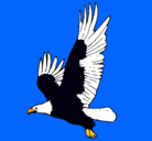 Dibujo Águila volando pintado por MARIQUILLA